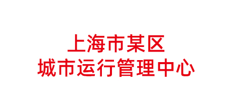 上海市某区城市运行管理中心项目